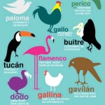 Humor: Los tipos de usuarios en Twitter 