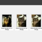 views.fm, visualizador de imágenes que funciona con Dropbox con la opción de añadir comentarios