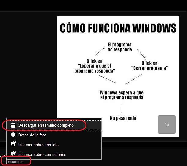 descargar una foto de Google plus 