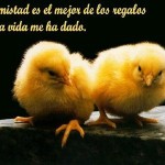Frases de amitad