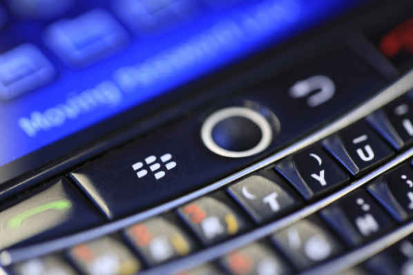 blackberry blackberry